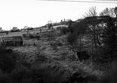 Black And White Farm