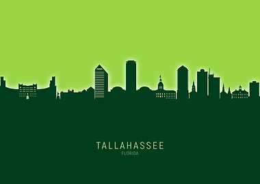 Tallahassee Skyline