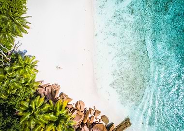 Girl Sunbathing On Tropica