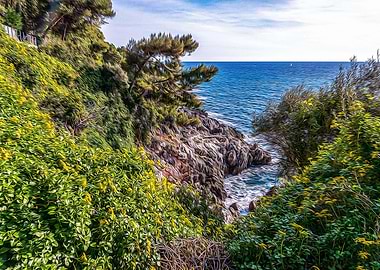 Seacoast of Cap Martin