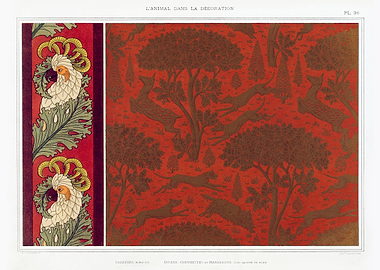 Cockatoo border Dogs kids