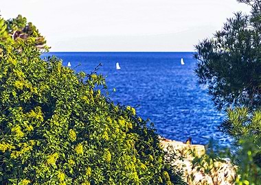 Seacoast of Cap Martin