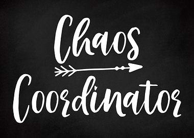 Funny Chaos Coordinator