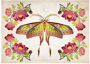 peony and moth