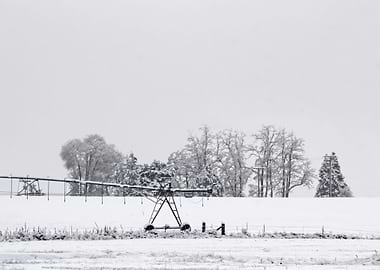 Image Picture Background