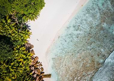 Girl Sunbathing On Tropica