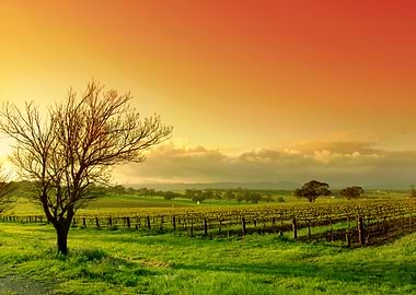 Agriculture Australia Baro