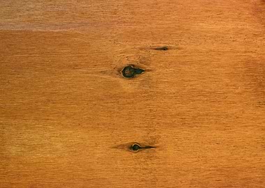 Wood knot hori browny text