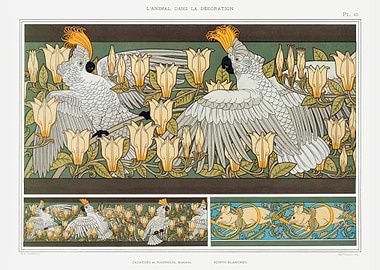 Cockatoos and magnolia bor