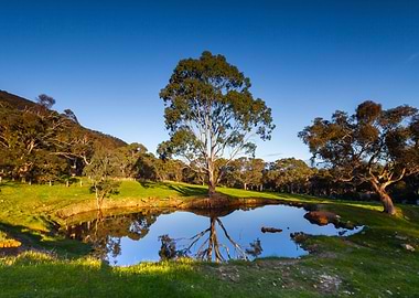Australia Beauty Clouds Co