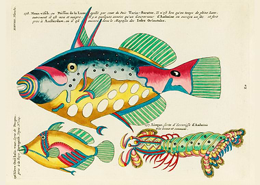 Colourful and surreal