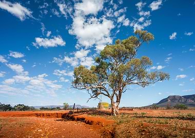 Arid Aussie Australia Beau