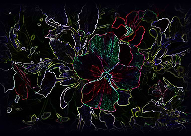 Glowing pansy contours