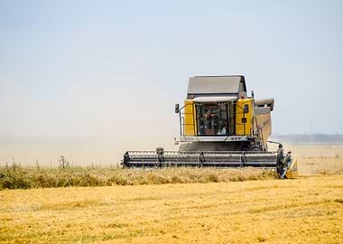 Harvesting Wheat With A Co