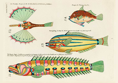 Colourful and surreal