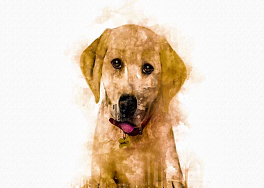 Marley Me Puppy Years 1