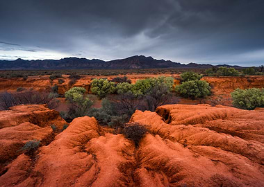 Aussie Australia Beauty Cl