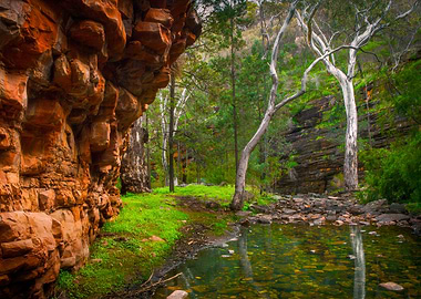Australia Colour Flinders