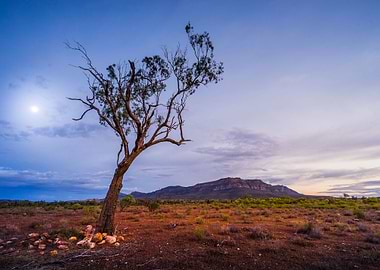 Aussie Australia Beauty Co