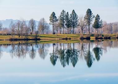 landscape trees lake