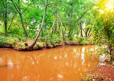 Autumn Brook City Clay Cur