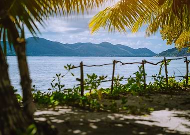 Exotic Tropical Paradise N