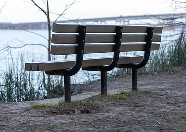 Two Rivers Park Bench 3
