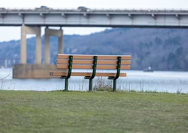 Two Rivers Park Bench 2