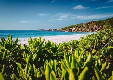 Eden Picturesque Grand Ans