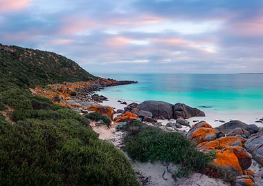 Australia Beach Beauty Clo