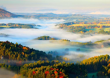 Yellow Woodland View Valle