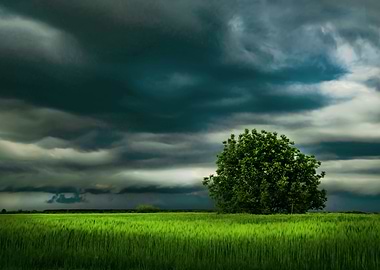 Atmospheric landscape