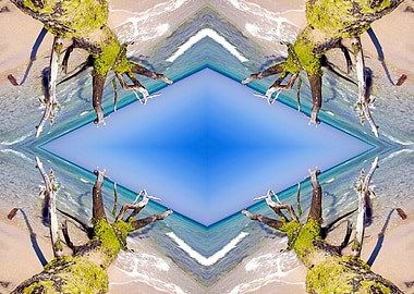 tree trunks on the beach