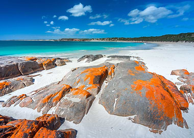 Australia Beach Beauty Cle