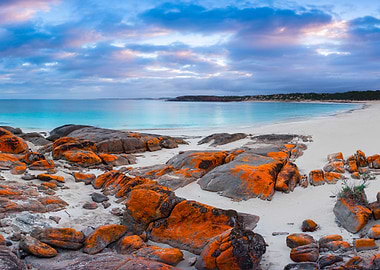 Australia Beach Beauty Clo