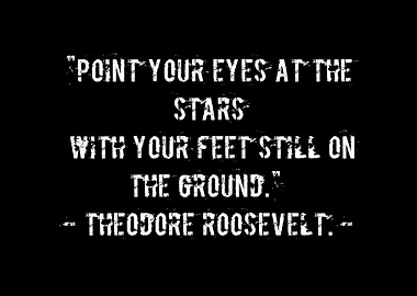 QUOTES THEODORE ROOSEVELT