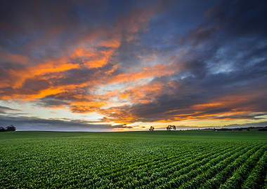 Australia Beauty Clare Val