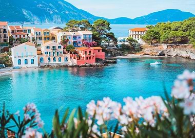 Bright White Flower Blosso