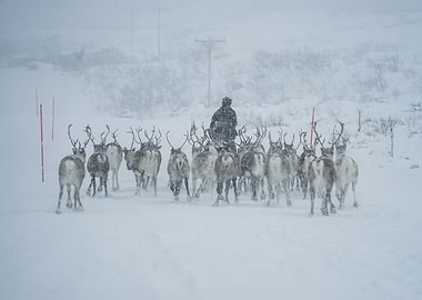 The Land of the Sami