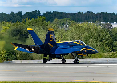 Blue Angels