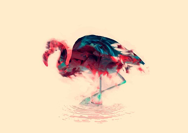 Born Flamingo