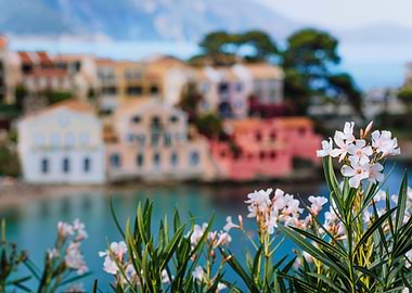 Bright White Flower Blosso