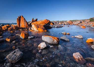 Australia Beach Beauty Coa