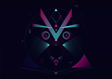Neon Racoon