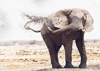 elephant is elephant
