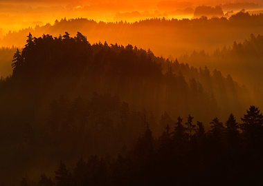 Beam Landscape Europe Natu