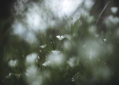 One among the others