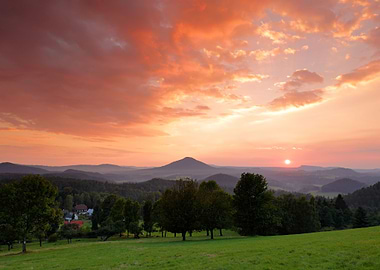 Yellow Wood Wilderness Wea