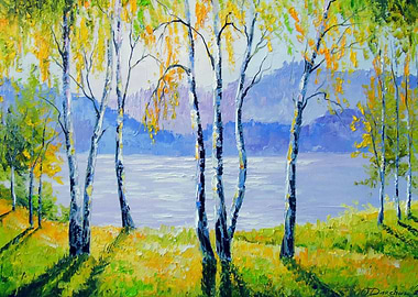 Birch trees by the river