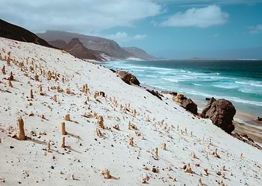 Bizarre Sandstone Formatio